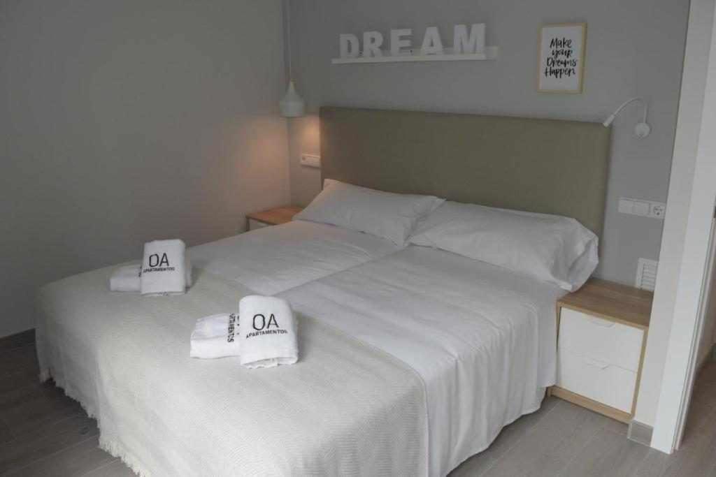 Apartamentos Ordesa Ainsa Room photo